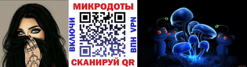 Псилоцибиновые грибы GOLDEN TEACHER  Гатчина 